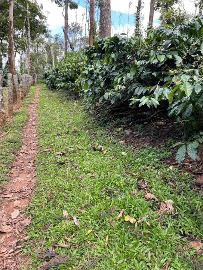 New Organic Home Stay Mudigere 外观 照片