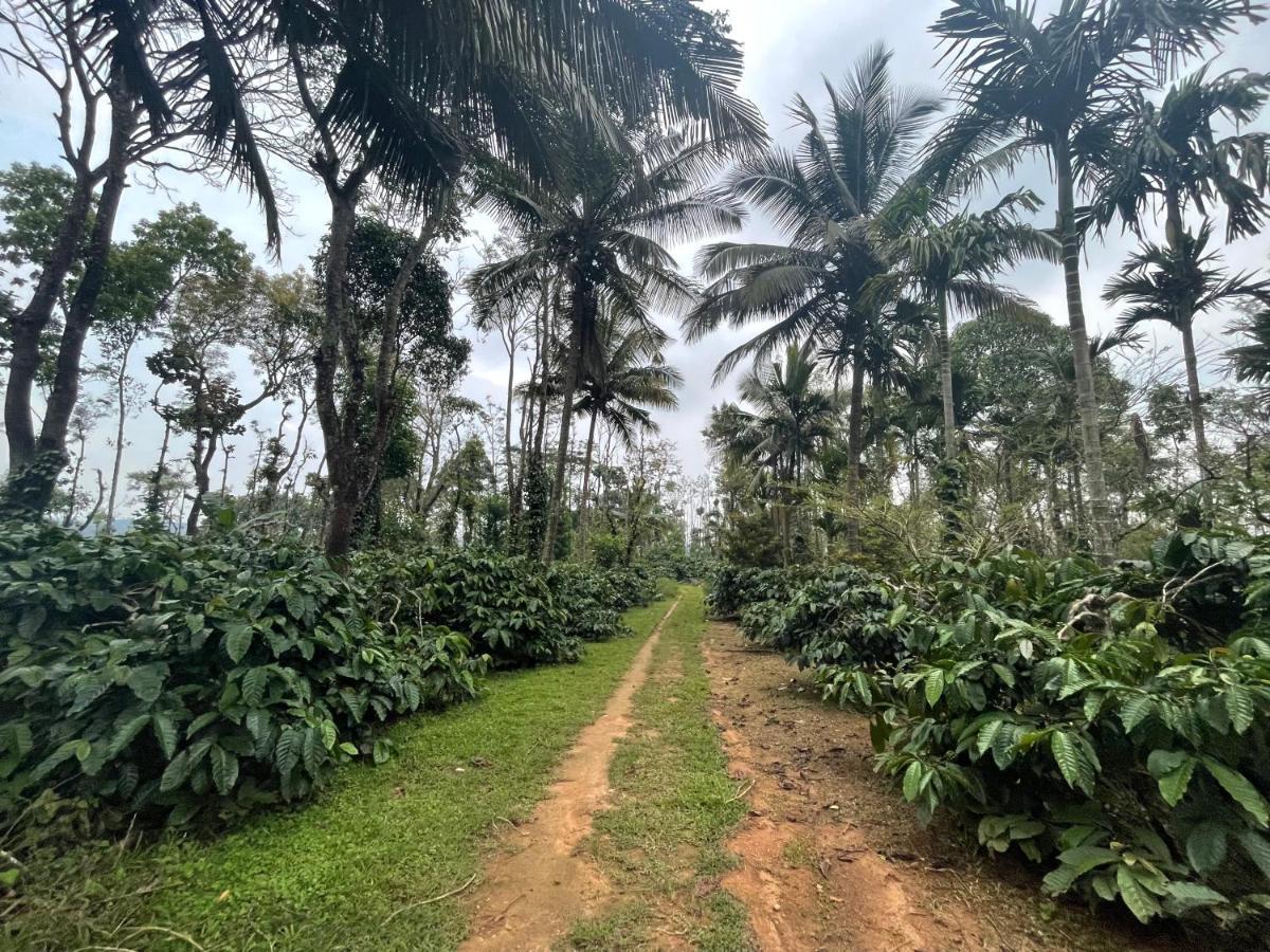 New Organic Home Stay Mudigere 外观 照片