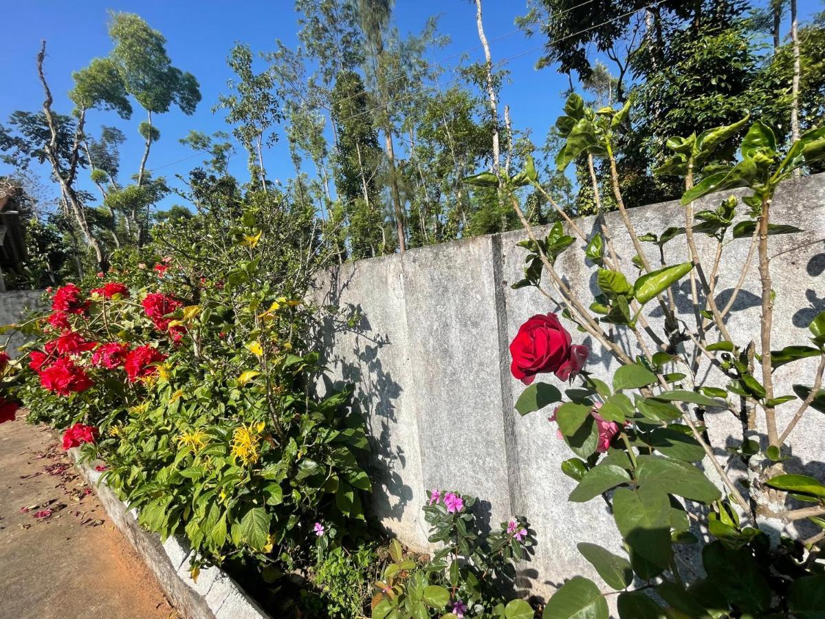 New Organic Home Stay Mudigere 外观 照片