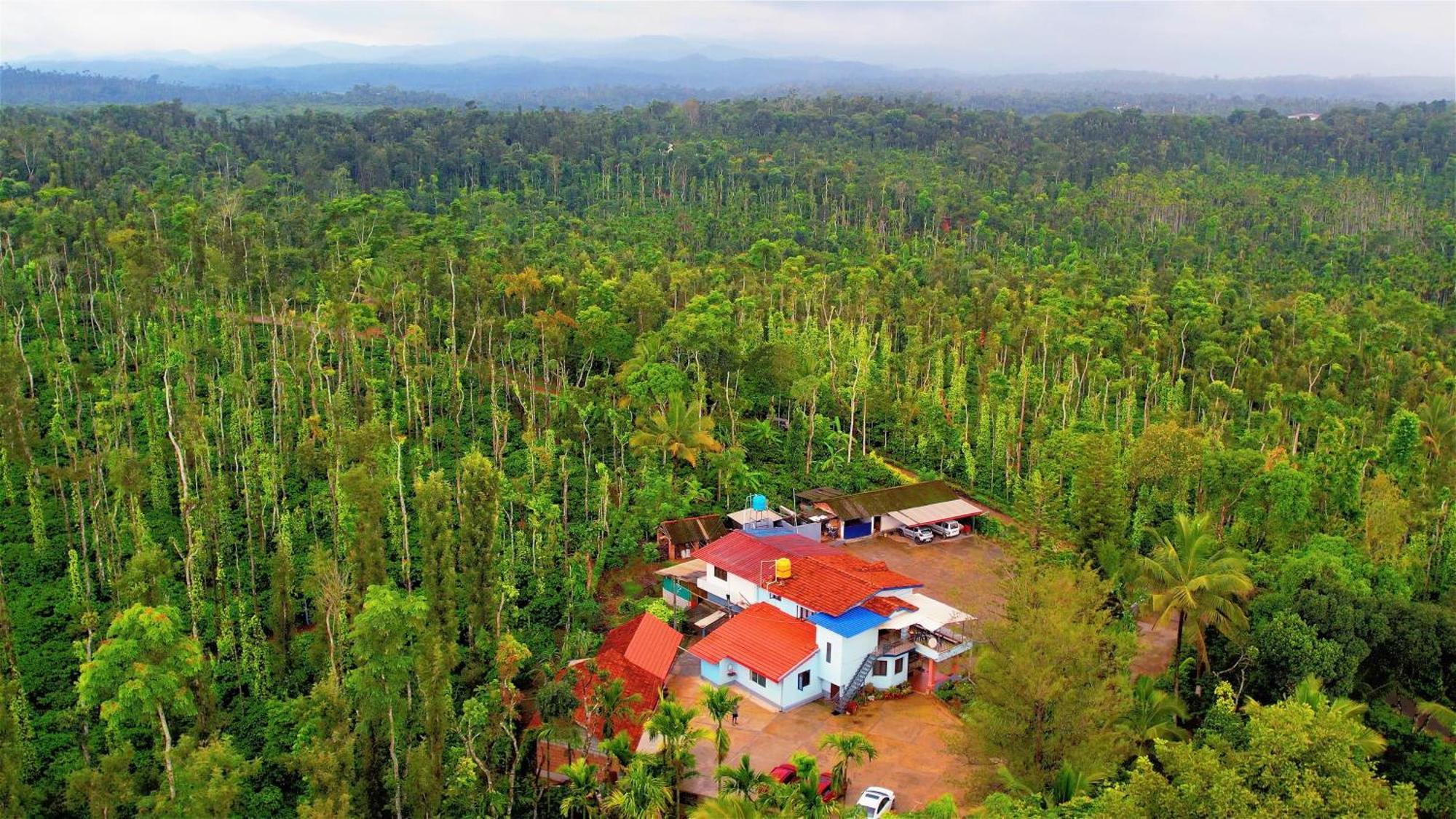 New Organic Home Stay Mudigere 外观 照片